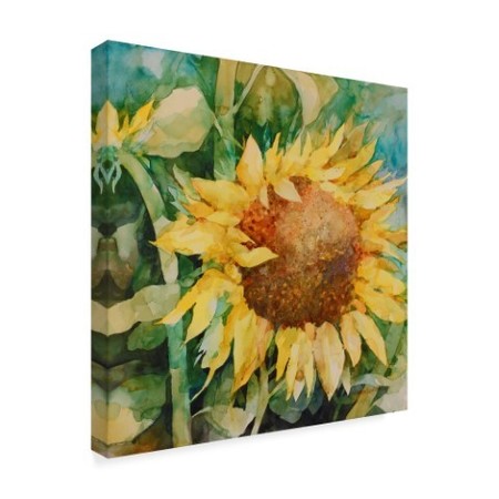 Trademark Fine Art Annelein Beukenkamp 'Sunflower Centered' Canvas Art, 18x18 ALI38122-C1818GG